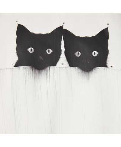 Jacket kittens