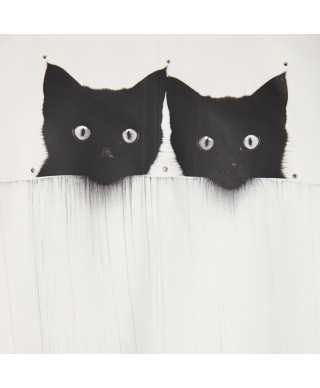 Jacket kittens